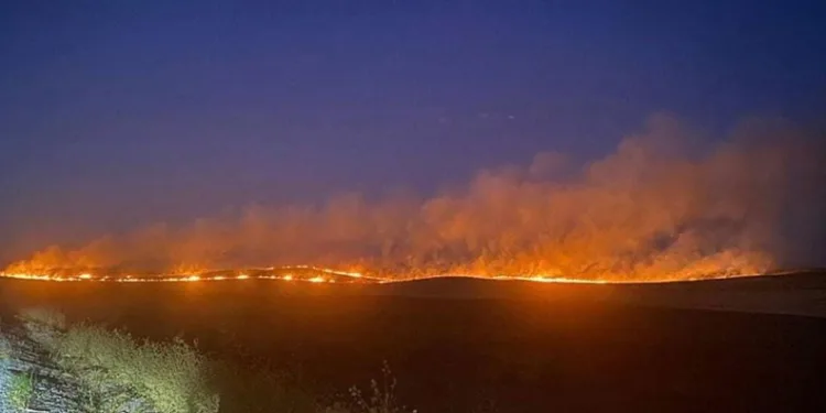 Siirt’te çıkan anız yangını yerleşim yerine sıçramadan söndürüldü
