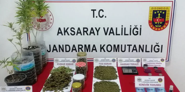 Jandarmanın suçüstü yaptığı uyuşturucu taciri tutuklandı