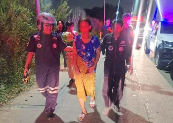 Tayland’da piton yaşlı kadına saldırdı