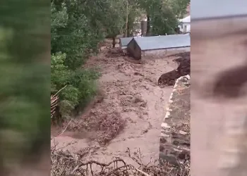 Erzurum’da sağanak yağış sele dönüştü