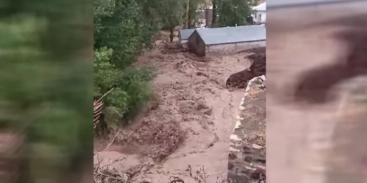Erzurum’da sağanak yağış sele dönüştü