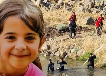 Narin soruşturmasında gözaltı sayısı 24’e çıktı