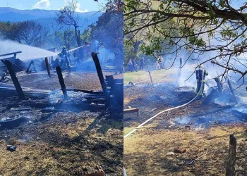 Ahırda çıkan yangında 85 küçükbaş hayvan telef oldu
