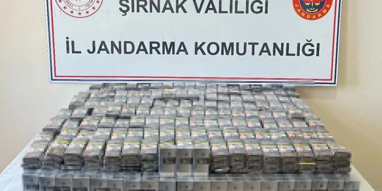 Şırnak’ta Jandarma’dan kaçakçılık operasyonu: 26 gözaltı