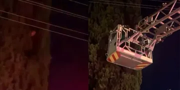 Yalova’da ağaçta mahsur kalan çocuğu itfaiye kurtardı