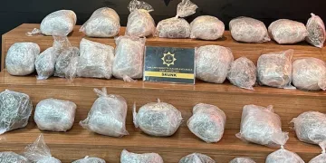 Şanlıurfa’da 23 kilo skunk ele geçirildi