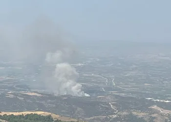 İzmir’de ormanlık alanda yangın