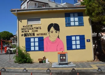 “Madem incitecektiniz, neden adını Narin koydunuz?”