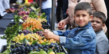 Osmangazi’nin en güzel üzümleri seçildi