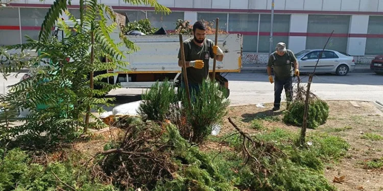 Orhangazi Belediyesi’nden Çevreci ve Sosyal Proje