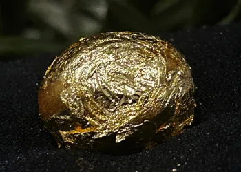 Altın zeytin festivalde görücüye çıktı