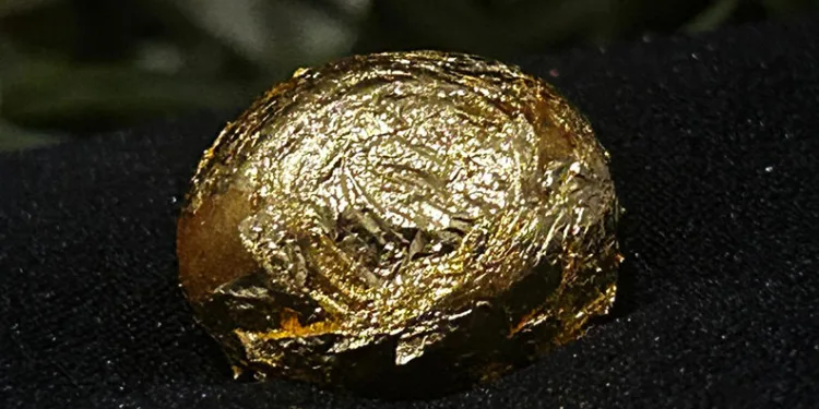 Altın zeytin festivalde görücüye çıktı
