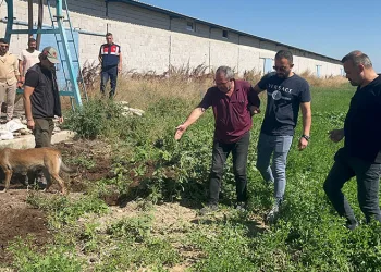 Dayısını öldürüp gömdü, hacca gitti süsü verdi