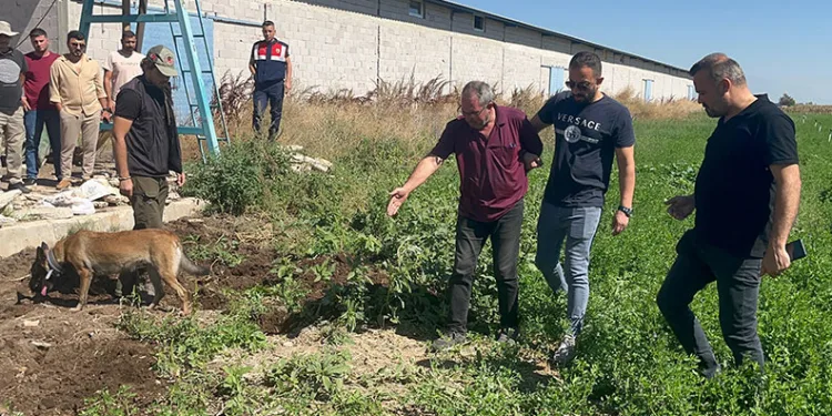 Dayısını öldürüp gömdü, hacca gitti süsü verdi