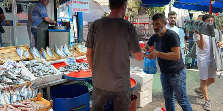 Palamut balıkçının yüzünü güldürdü