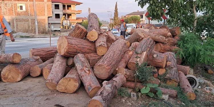 Kamyon virajı alamadı, tomruklar yola saçıldı
