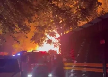 Bursa’da alevler geceyi aydınlattı