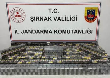Şırnak’ta jandarma ekipleri kaçakçılara göz açtırmıyor: 16 gözaltı