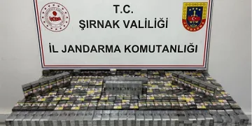 Şırnak’ta jandarma ekipleri kaçakçılara göz açtırmıyor: 16 gözaltı