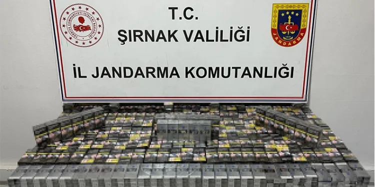 Şırnak’ta jandarma ekipleri kaçakçılara göz açtırmıyor: 16 gözaltı