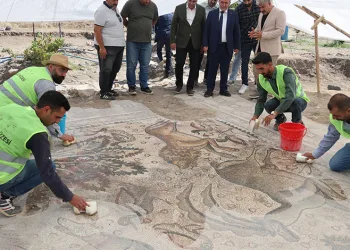Türkiye’de 84 metrekare mozaik bulundu