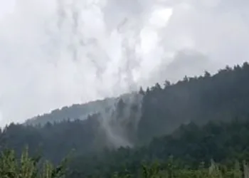 Ormanlık alanda oluşan hortum kısa süreli paniğe yol açtı