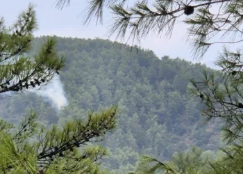 Muğla’da yıldırım kaynaklı orman yangınları meydana geldi