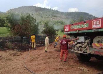 Göksu Nehri kenarında çıkan yangın kısa sürede söndürüldü