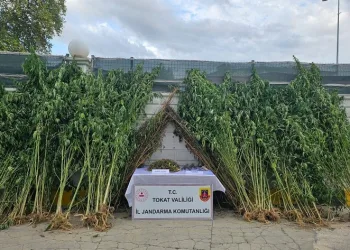 Tokat’ta uyuşturucu ticaretinden 4 kişi hakkında işlem başlatıldı