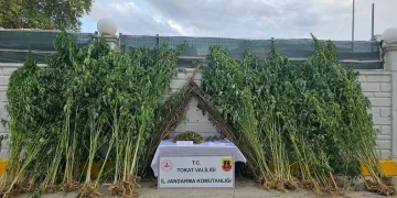 Tokat’ta uyuşturucu ticaretinden 4 kişi hakkında işlem başlatıldı