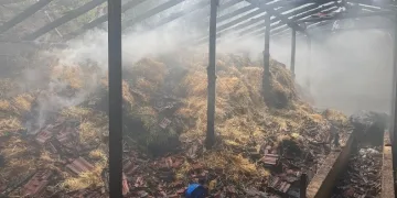 Besihanede çıkan yangında 5 kişi yaralandı, 3 hayvan telef oldu