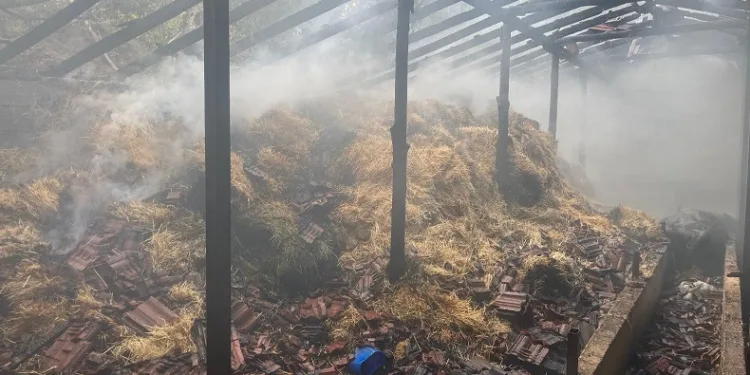 Besihanede çıkan yangında 5 kişi yaralandı, 3 hayvan telef oldu