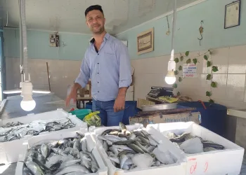 Yasak kalktı, tezgahlar balık doldu, fiyatlar uygun