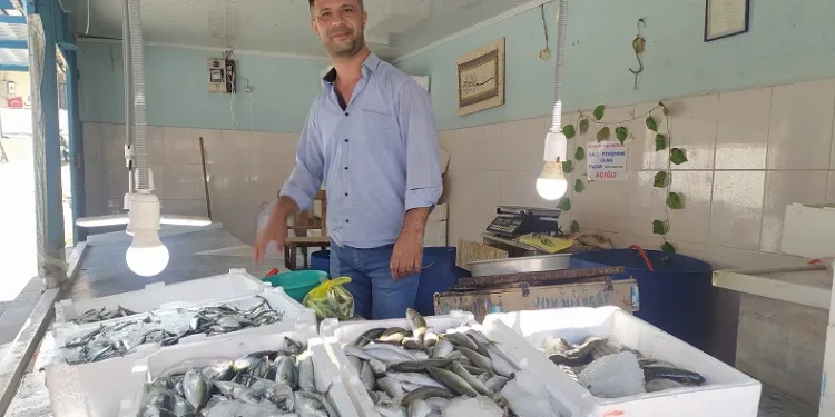Yasak kalktı, tezgahlar balık doldu, fiyatlar uygun