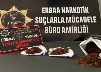 Baca deliğinden bonzai çıktı