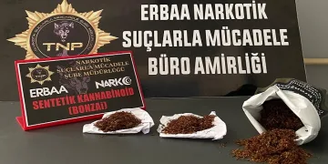 Baca deliğinden bonzai çıktı