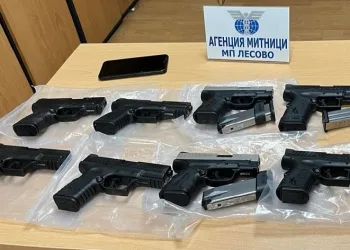 Türkiye plakalı tırda 10 adet susturucu takılan silah ele geçirildi