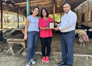 10 koyunla başladı 2 bin koyun yetiştirdi