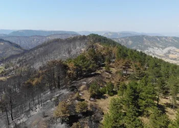 Bolu tarihinin en büyük yangınının yaraları sarılıyor