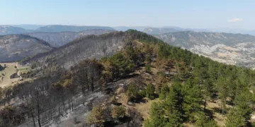 Bolu tarihinin en büyük yangınının yaraları sarılıyor