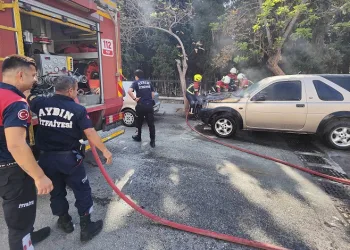 Park halindeki cip alev aldı
