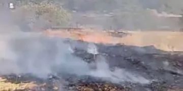 Otluk alanda yangın