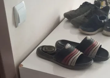 Ayakkabılıktaki terlikten yılan çıktı