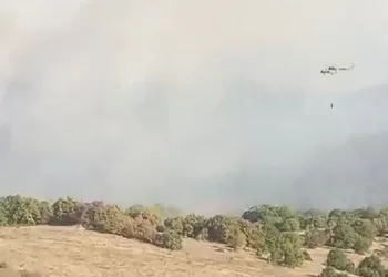 Bursa’da korkutan orman yangını
