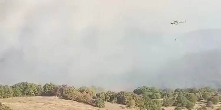 Bursa’da korkutan orman yangını