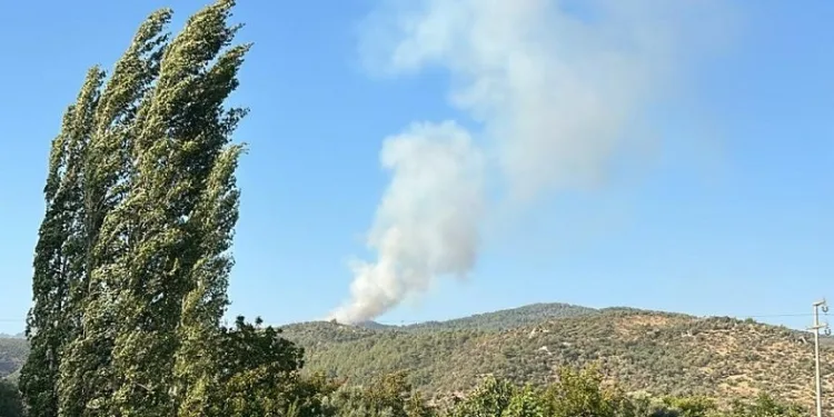 Milas’ta orman yangını