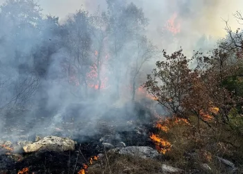 Bursa’da bir yangın daha