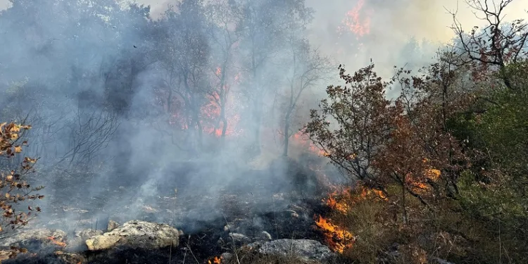Bursa’da bir yangın daha