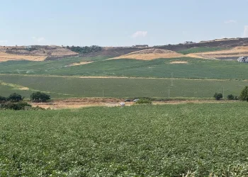 Kayıp Narin köye yakın gölet yanında çuval içinde bulundu