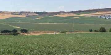 Kayıp Narin köye yakın gölet yanında çuval içinde bulundu